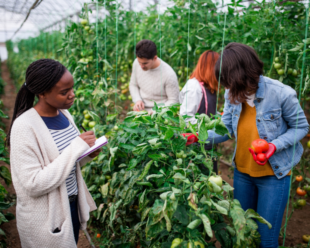 Future Africa Experts Call for Next-Gen Scientists to Transform Food Systems